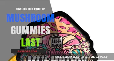 Road Trip Mushroom Gummies Duration: Effects and Shelf Life Explained