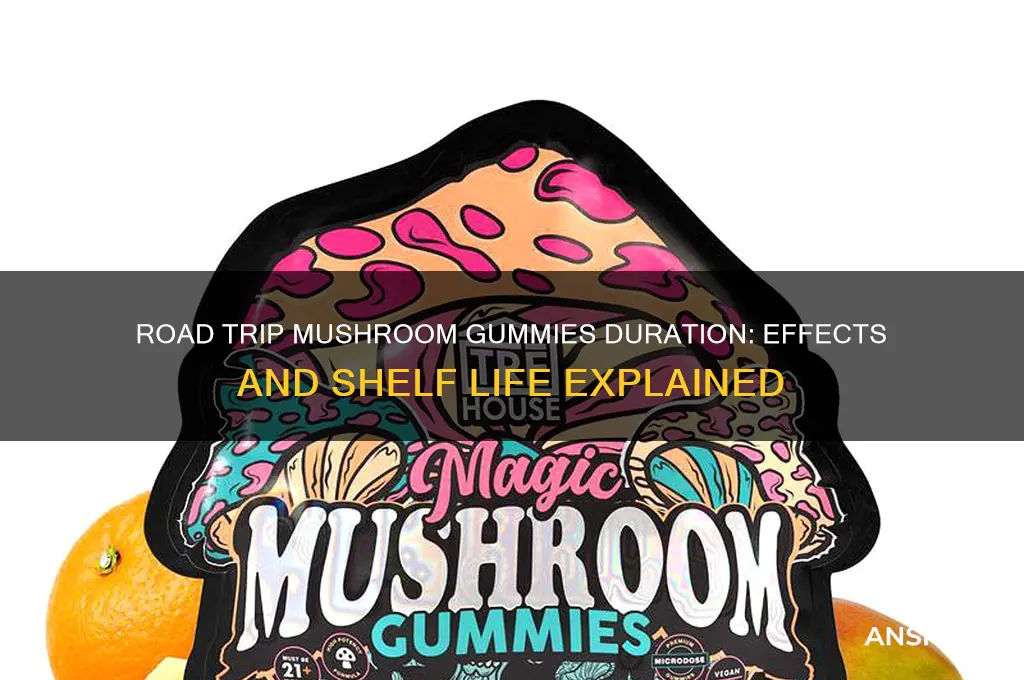 how long does road trip mushroom gummies last