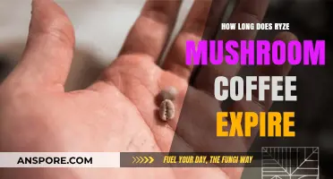 Ryze Mushroom Coffee Expiration: Shelf Life and Freshness Guide