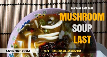 Sour Mushroom Soup Shelf Life: Storage Tips and Freshness Duration