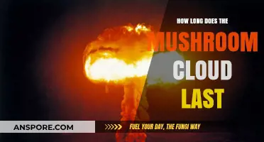 How Long Does a Mushroom Cloud Persist After a Nuclear Blast?