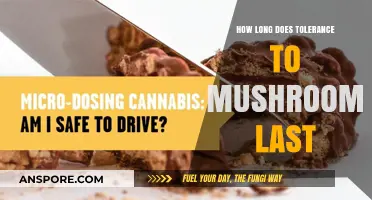 Understanding the Duration of Psilocybin Mushroom Tolerance: A Comprehensive Guide