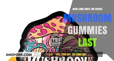 Tre House Mushroom Gummies Duration: How Long Do Effects Last?