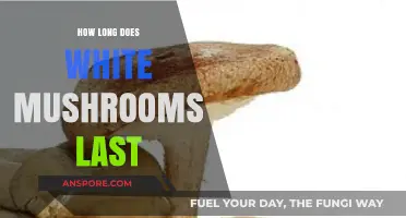 White Mushrooms Shelf Life: How Long Do They Stay Fresh?