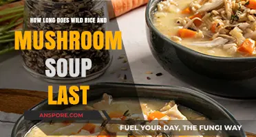 Wild Rice and Mushroom Soup Shelf Life: Storage Tips and Freshness Guide