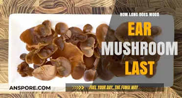 Wood Ear Mushroom Shelf Life: Storage Tips for Freshness and Longevity