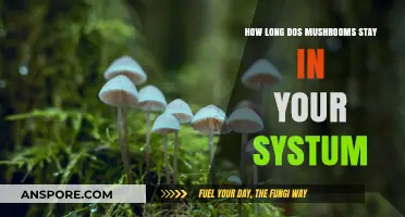 How Long Do Mushrooms Stay in Your System: A Complete Guide