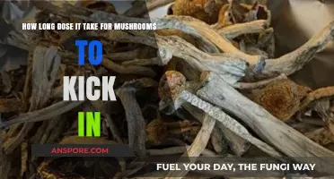 How Long Do Mushrooms Take to Kick In? A Guide