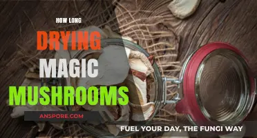 Drying Magic Mushrooms: Optimal Time and Techniques for Preservation