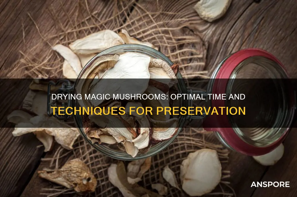 how long drying magic mushrooms