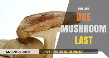 Shelf Life of Mushrooms: How Long Do They Stay Fresh?