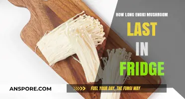 Enoki Mushrooms Shelf Life: How Long Do They Last in the Fridge?
