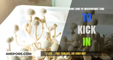 How Long Do Mushrooms Take to Kick In: A Guide
