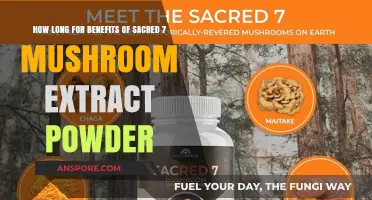 Sacred 7 Mushroom Extract Powder: Timeframe for Experiencing Its Benefits