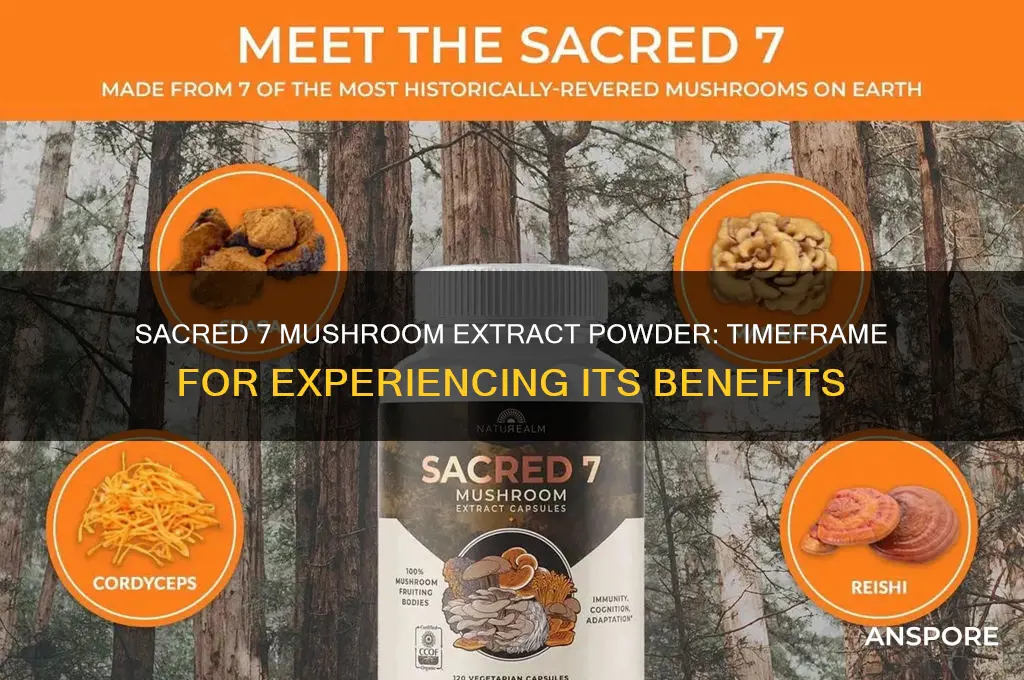 how long for benefits of sacred 7 mushroom extract powder
