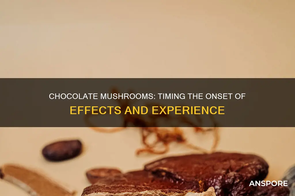 how long for chocolate mushrooms to kick in