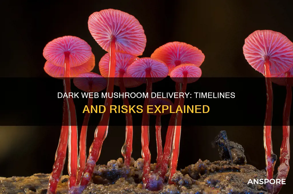 how long for delivery of mushrooms on dark web