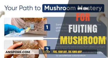 Growing Fruiting Mushrooms: Understanding the Timeframe for Optimal Harvest