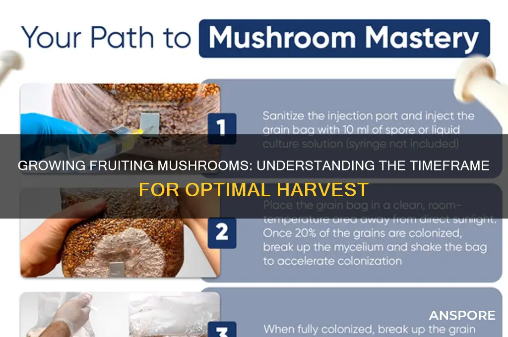 how long for fuiting mushrooms
