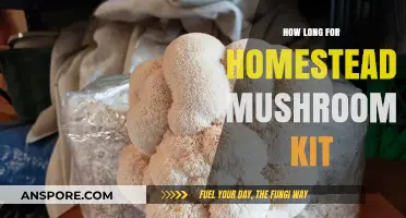 Homestead Mushroom Kit: Timeframe for Growing Your Own Mushrooms
