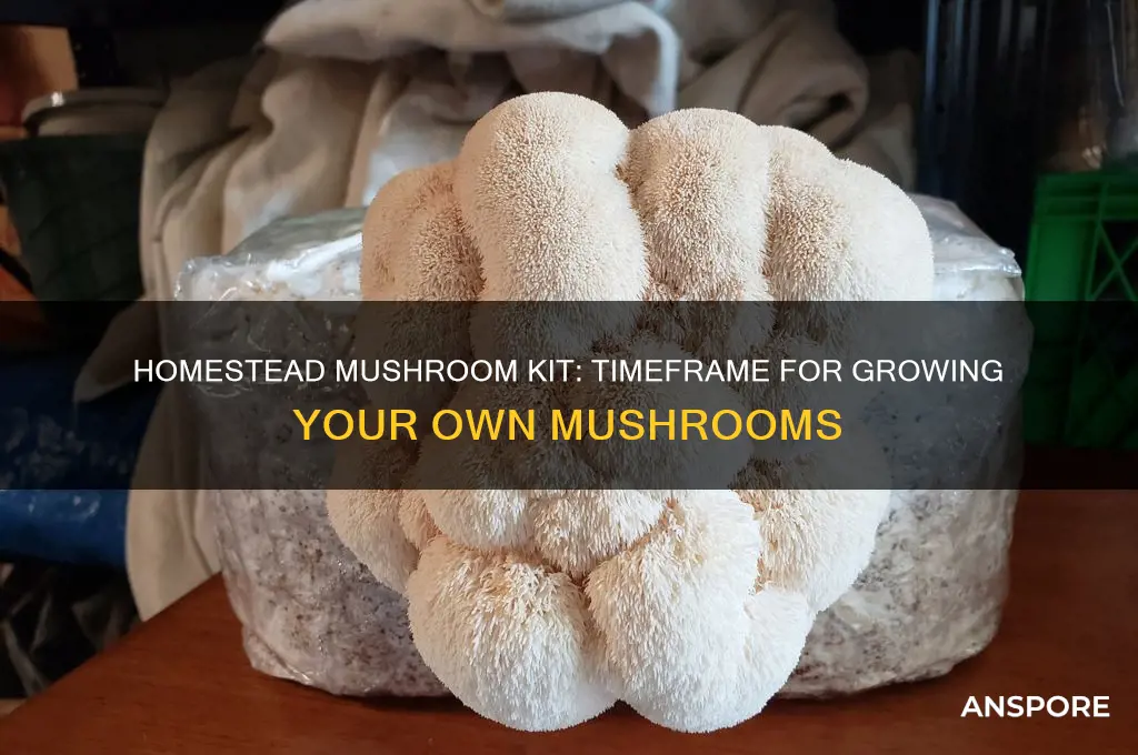 how long for homestead mushroom kit