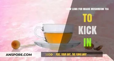 Magic Mushroom Tea Effects: Timing and Onset Explained