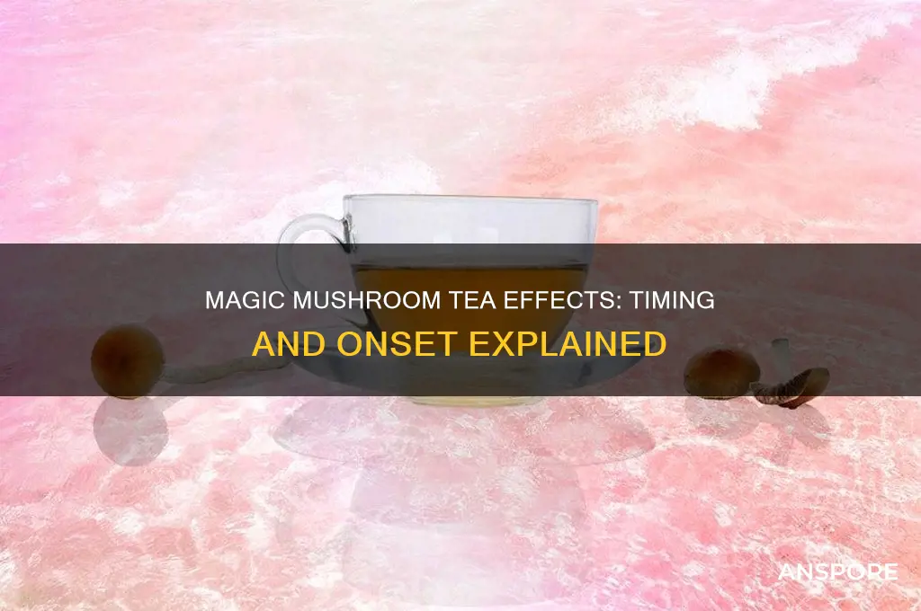 how long for magic mushroom tea to kick in