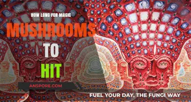 Magic Mushrooms: Understanding the Onset Time for Your Trip