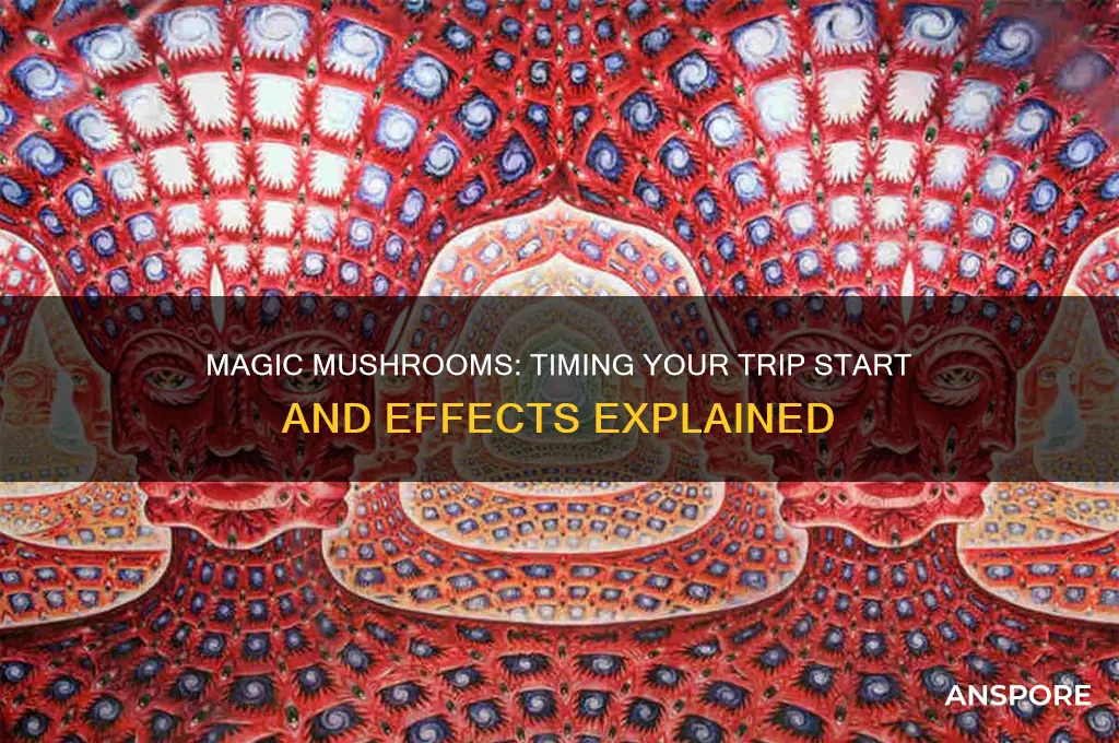 how long for magic mushrooms to start