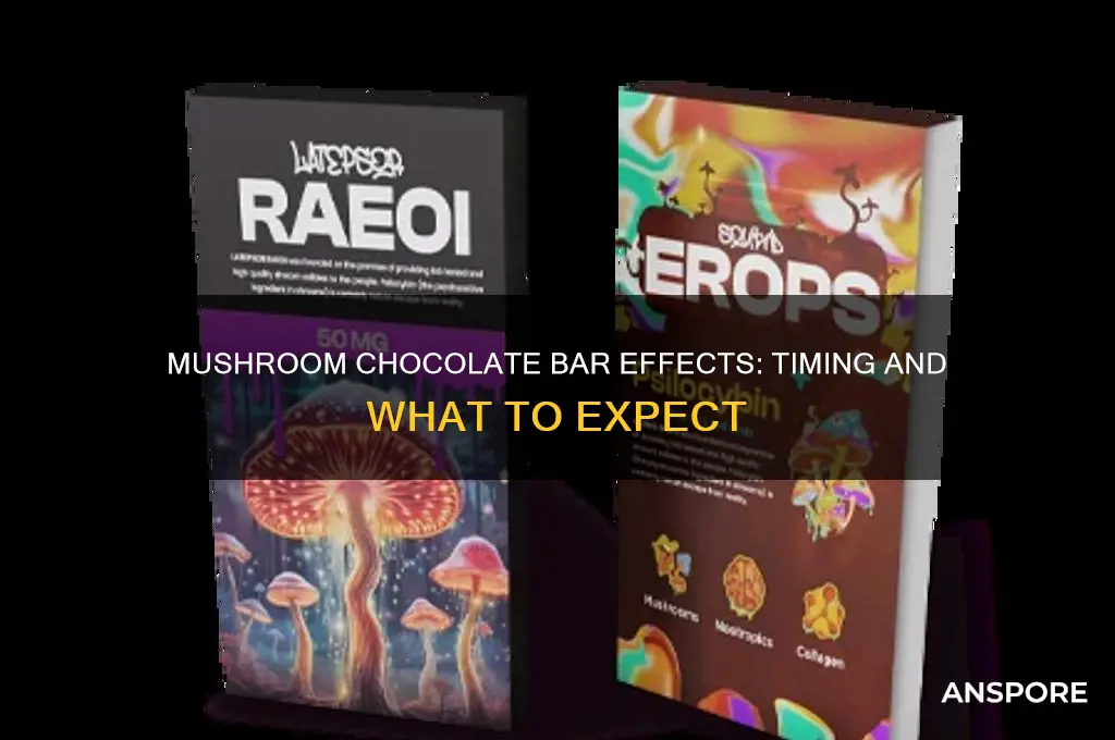 how long for mushroom chocolate bar to kick in
