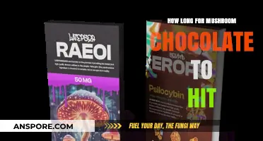 When Does Mushroom Chocolate Kick In? Timing and Effects Explained