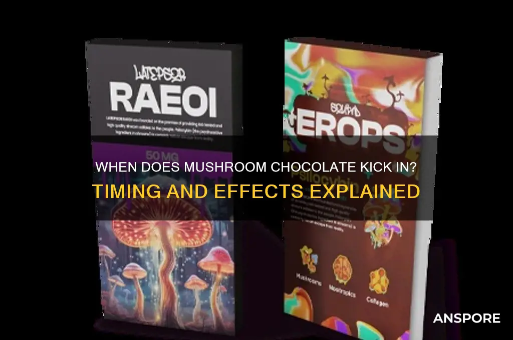how long for mushroom chocolate to hit