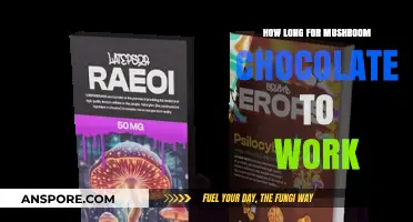 How Long Does Mushroom Chocolate Take to Kick In?
