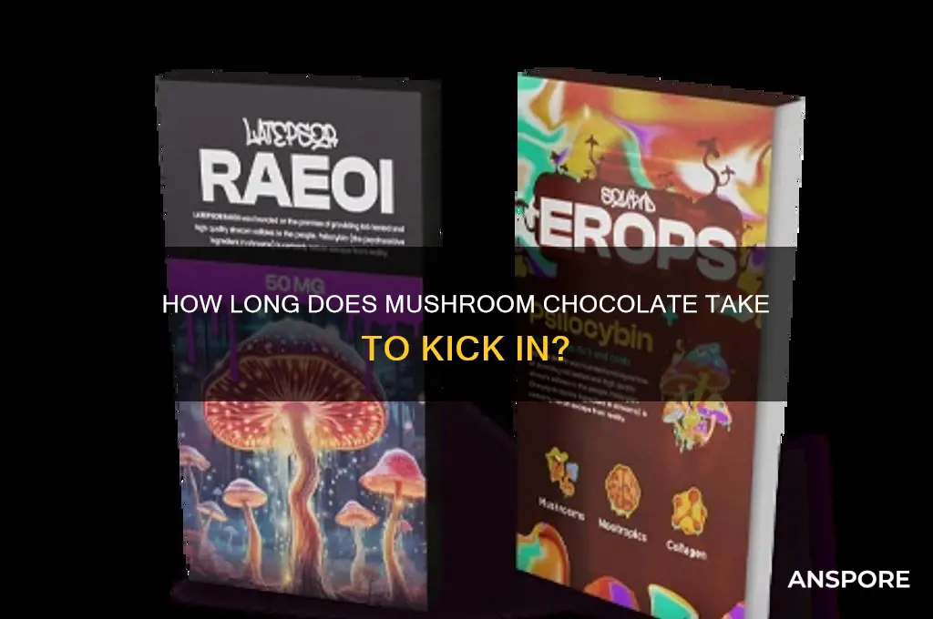 how long for mushroom chocolate to work