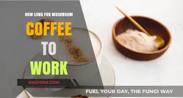 Mushroom Coffee Effects: How Long Until You Feel the Benefits?