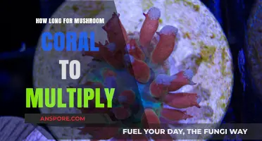 Mushroom Coral Multiplication: Understanding Growth Rates and Factors