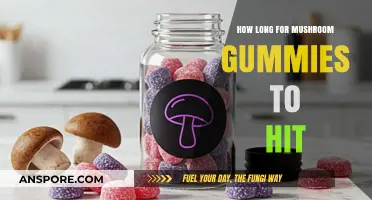 When Do Mushroom Gummies Kick In? Timing and Effects Explained