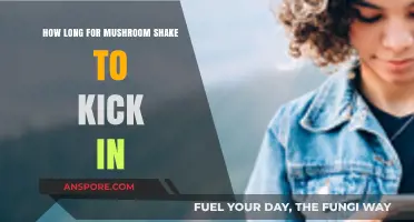 Mushroom Shake Effects: Timing and Factors for Onset Explained