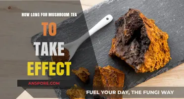 Mushroom Tea Effects: Timing and Factors Influencing Onset