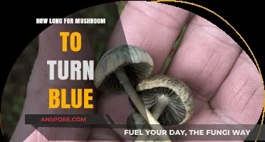 How Long Does It Take for Mushrooms to Turn Blue?