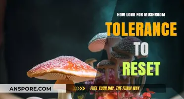 Resetting Mushroom Tolerance: Understanding the Timeline for Safe Consumption