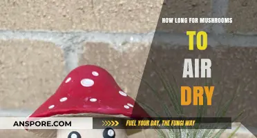 Air Drying Mushrooms: Optimal Time for Perfect Preservation and Flavor