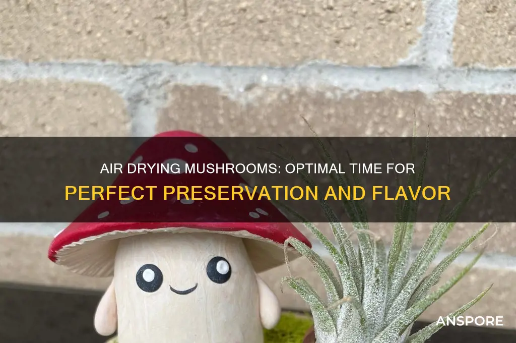 how long for mushrooms to air dry