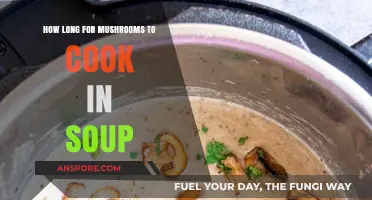 Perfectly Cooked Mushroom Soup: Timing Tips for Ideal Texture