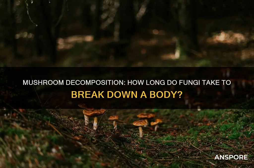 how long for mushrooms to decompose a bpdy