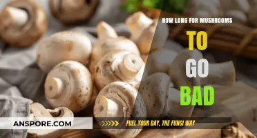 Shelf Life of Mushrooms: How Long Before They Spoil?