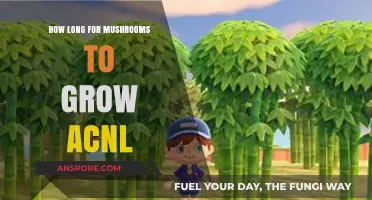 ACNL Mushroom Growth Timeline: How Long to Harvest in Animal Crossing