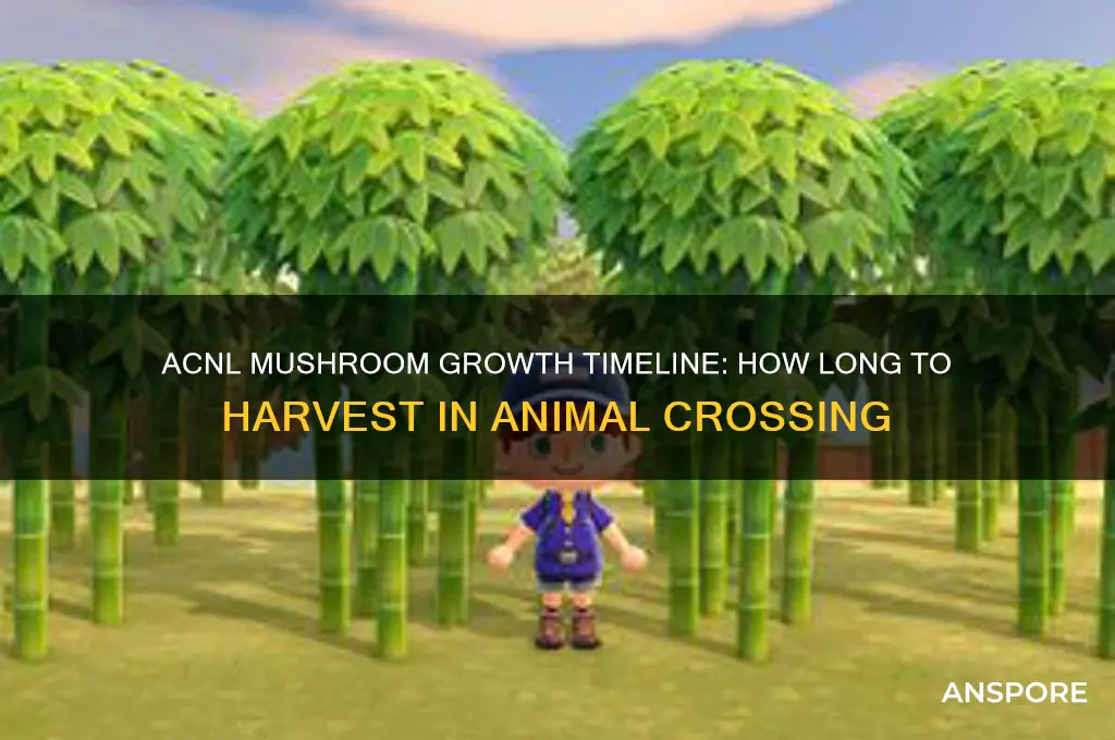 how long for mushrooms to grow acnl