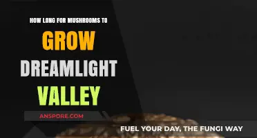 Dreamlight Valley Mushroom Growth Timeline: From Spores to Harvest