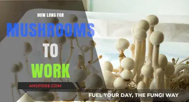 How Long Do Mushrooms Take to Kick In? A Guide